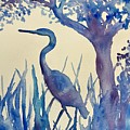 Blue and White Heron