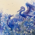 Blue and White Herons