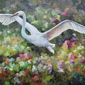 Colorful Egret